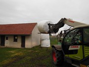 Stavíme sněhuláka s partnery,  rodiči a dětmi